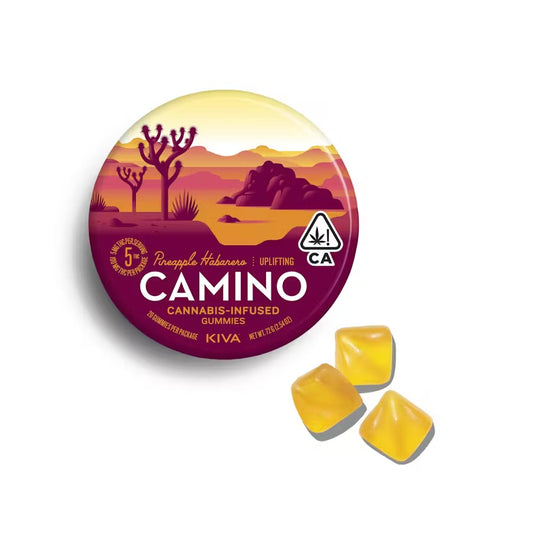 Camino Pineapple Habanero "Uplifting" Gummies 100mg