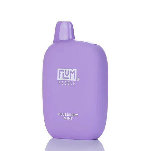 FLUM PEBBLE DISPOSABLE VAPE 6000 PUFFS Blueberry Mint